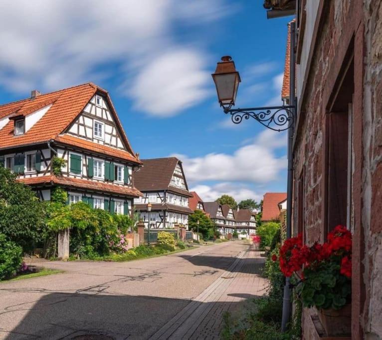 Au Petit Nid De Seebach Exterior foto